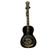 Used Recording King RPH-R2-E-BRB Resonating Guitar 40009-S000320372 View 1