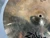 Used Zildjian 17 IN A CUSTOM CRASH Crash Cymbal 17" 40012-S000321191 View 3