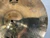 Used Zildjian 17 IN A CUSTOM CRASH Crash Cymbal 17" 40012-S000321191 View 5