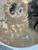 Used Zildjian 17 IN A CUSTOM CRASH Crash Cymbal 17" 40012-S000321191 View 9