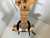 Used Eleca T TYPE T Type Electric Guitar Natural 6-String 40107-S000160300 View 4