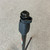 Used GATOR FRAMEWORKS TRIPOD STRAIGHT MIC STAND 41106-S000106291 View 8