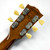 Used Gibson 2022 Les Paul Standard Electric Guitar Goldtop 6-String 41103-S000061685 View 10