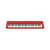 New Casio Ct-s1 Casiotone 61-key Portable Keyboard 40015-CT-S1RD View 1