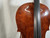 Used Samuel Shen SC-88 4/4 CELLO Cello 4/4 Size 40012-S000321735 View 7