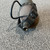 Used SHURE SM5B Vintage Microphone 41106-S000106841 View 15