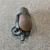 Used SHURE SM5B Vintage Microphone 41106-S000106841 View 18