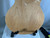 Used Epiphone MIK SHERATON II+BRANDON WOUND P/U Semi-Hollow Electric Guitar Natural 6-String 40012-S000321980 View 19