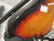 Used Fender MIJ JAZZ BASS J Type Bass Guitar Sunburst 4-String 40012-S000322114 View 22