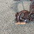 Used BLUEBERRY CARVED GUITAR STAND 41106-S000107000 View 9
