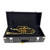 Used Olds Ambassador Cornet View 1
