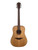Used Lag Tramontane T118 Dreadnought Acoustic Guitar 41115-S000121073 View 2