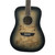 Used Washburn DFBDB Acoustic Guitar 41117-S000058984 View 2
