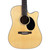 Used Jasmine JD-36 Dreadnought Cutaway Acoustic-Electric Guitar Natural 40090-S000086951 View 1