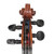 Used VIOLIN 4/4 Violin 4/4 Size View 19