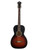 Used Recording King RPH-05 SINGLE 0 PARLOR -AS IS NECK 41115-S000121115 View 2