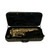 Used Accent AS710L Alto Saxophone 40009-S000321253 View 1