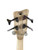 Used Warwick Rockbass Corvette Basic 4 Bass Guitar w/BAG 41115-S000121289 View 6