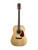 Used Cort Earth 60 OP Acoustic Guitar  41115-S000121308 View 2