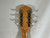 Used Fender TIM ARMSTRONG HELL CAT Solid Top Acoustic Guitar Wood 40012-S000323174 View 9