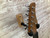 Used Schecter NICK JONHSTON TRADITIONAL Electric Guitar 41138-S000102438 View 10