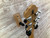 Used BC Rich EAGLE 1 EVAN WILLIAMS Electric Guitar 41138-S000102443 View 11