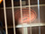 Used Epiphone Inspired By Gibson HUMMINGBIRD Acoustic Guitar 41138-S000102467 View 5