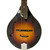 Used LOAR LM-220 W/HSC Mandolin 41126-S000094850 View 2