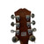 Used Epiphone WILDKAT AN Semi-Hollow Electric Guitar Other 6-String 40009-S000321796 View 11