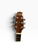 Used Cort AS-1 Solid Top Acoustic Guitar Wood 41134-S000011435 View 2