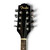 Used Fender FM-52E Mandolin 41130-S000013978 View 3