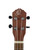 Used Ortega RU5 Bonfire Series Tenor Ukulele  41115-S000121583 View 3