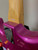 Used Kramer PACER CLASSIC HH ELEC GTR FLOYD ROSE Super S Electric Guitar Purple 6-String 41129-S000024809 View 10