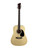 Used Jay Turser JJ45 Acoustic Guitar 41115-S000121599 View 2