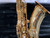 Used Yamaha YTS-275 TENOR SAX Tenor Saxophone 40012-S000323968 View 5
