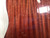Used Fender CD-60S ALL MAH Laminate Top Acoustic Guitar Wood 40107-S000161331 View 7