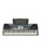 Used Casio WK-1250 CASIO KEYBOARD 61-Key Keyboard 61-Key 41135-S000010613 View 1