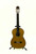 Takamine Acoustic Guitars View 2