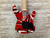 Used EVH STRIPED SERIES LEFTY Electric Guitar 41138-S000102687 View 16