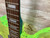 Used BC Rich ACRYLLIC MOCKINGBIRD Electric Guitar 41138-S000102688 View 6