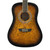 Used Washburn WSHAGPAKQQTB Acoustic Guitar Tobacco Sunburst 41117-S000059697 View 1