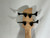 Used JACKSON STYLE BASS J Type Bass Guitar Black 4-String 40012-S000324330 View 6