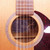 Used Seagull S12+ Acoustic Guitar Wood 40042-S000284483 View 6