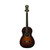 Used Recording King RPS-11-FE3-TBR AS IS Solid Top Acoustic Guitar Tobacco Sunburst 40009-S000322377 View 1