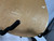 Used Washburn HB-30-NA 335 COPY Semi-Hollow Electric Guitar Natural 6-String 40012-S000324589 View 20