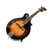 Used Oscar Schmidt OM-40 Mandolin View 1
