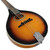 Used Savannah SA-110 Mandolin View 2