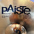 Used Paiste 101 14IN HI HAT Hi Hat Cymbals 14" 41108-S000068878 View 4