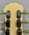 Used 2017 Epiphone WILSHIRE Electric Guitar Other 6-String 41131-S000015031 View 5