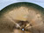 Used Zildjian ZHT MEDIUM RIDE 20IN Ride Cymbal 20" 40012-S000324749 View 8